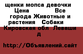 щенки мопса девочки › Цена ­ 25 000 - Все города Животные и растения » Собаки   . Кировская обл.,Леваши д.